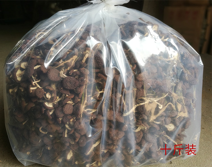 茶树菇5号小帽未开伞细杆茶树菇干货5斤