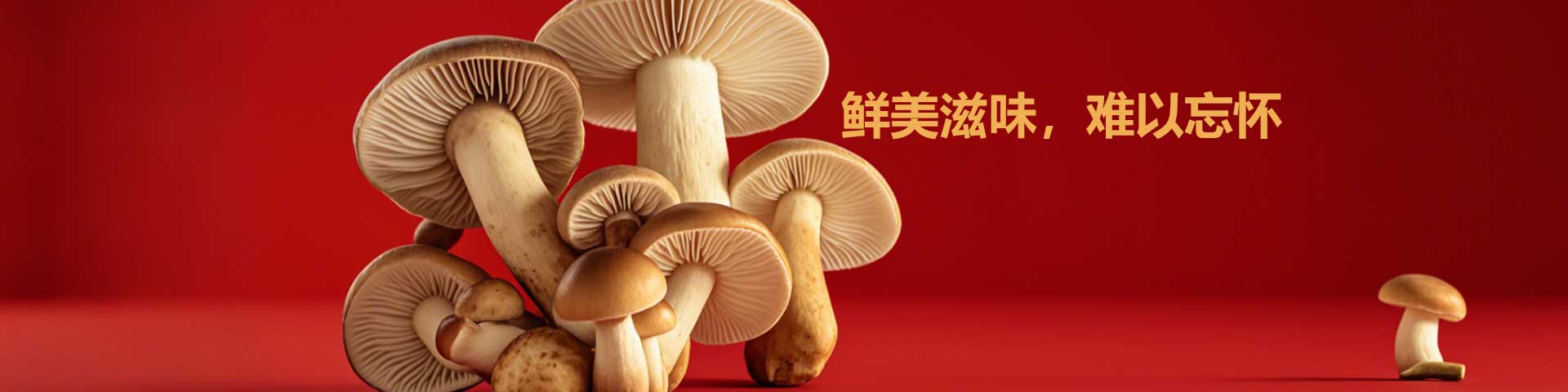 菌子